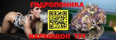 амф Лесосибирск