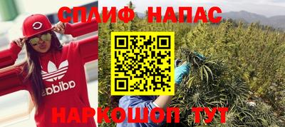 гидра Ливны