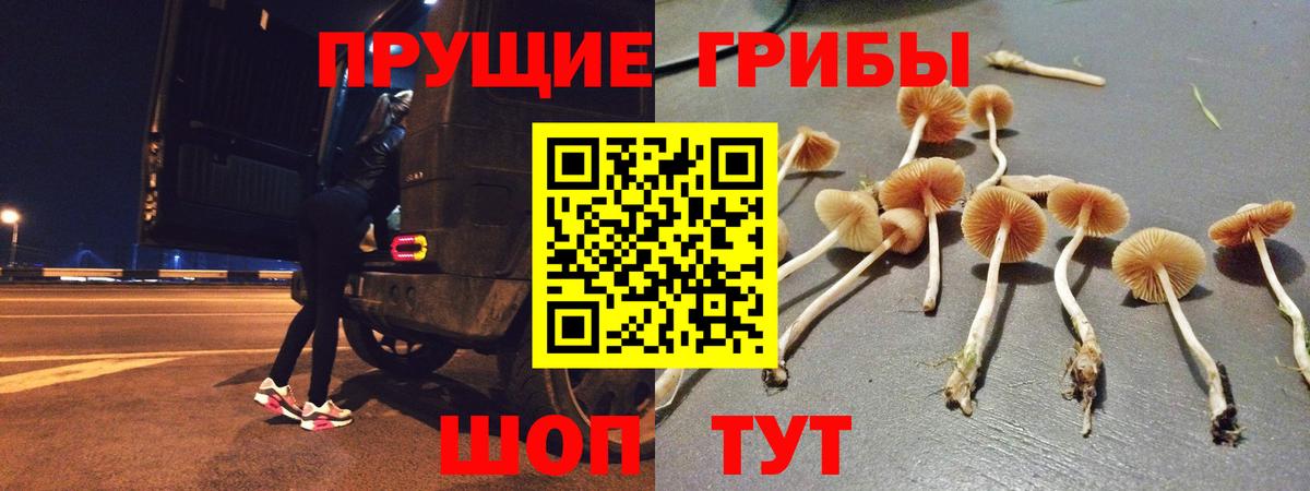 Джанкой  Галлюциногенные грибы прущие грибы  Вход с VPN 